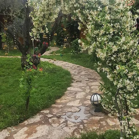 Отель Mihricem *