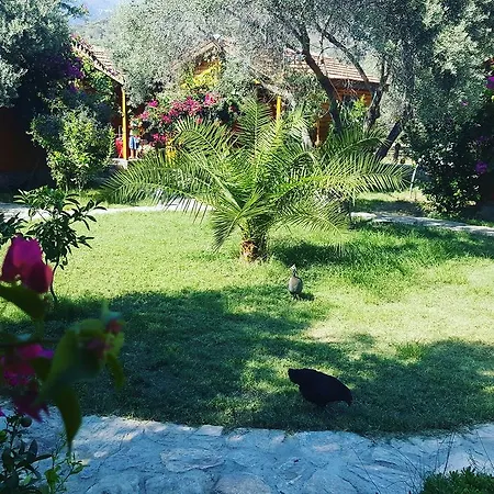 Otel Mihricem Mesudiye (Datca)